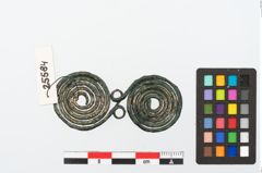 Foto von Bronzebrillenfibel (NHMW-PRAE-025584)